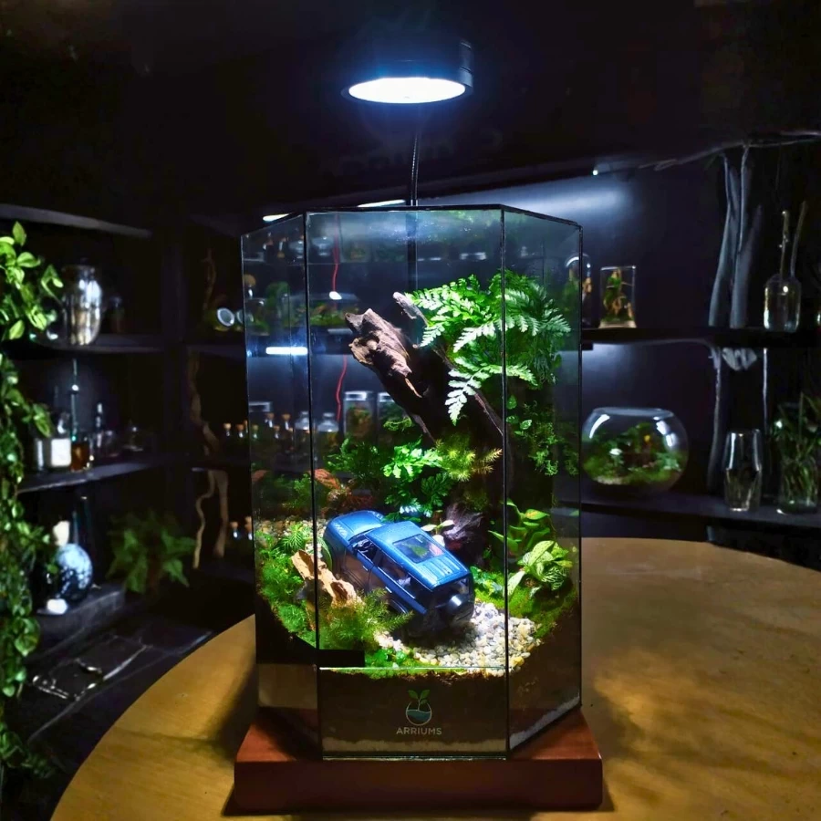 Off-Road Adventure Live Terrarium