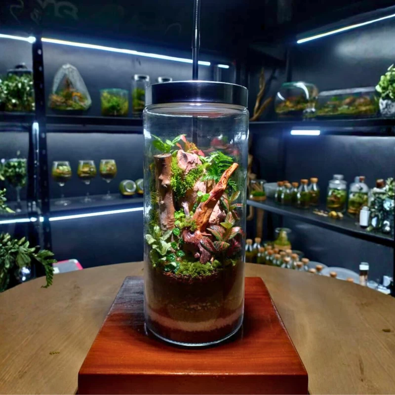 Tall Live Moss Terrarium – Forest Habitat in Glass