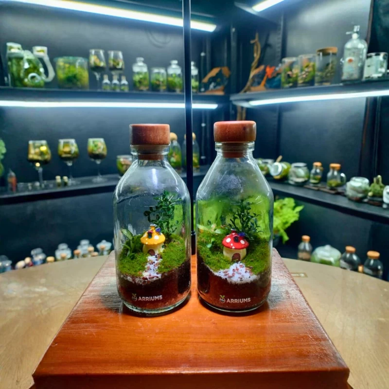Mini Mushroom House Live Moss Terrarium – Glass Bottle Edition V2