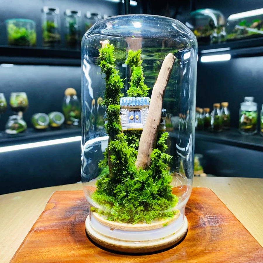 Mini Forest Cottage Preserved Moss Terrarium